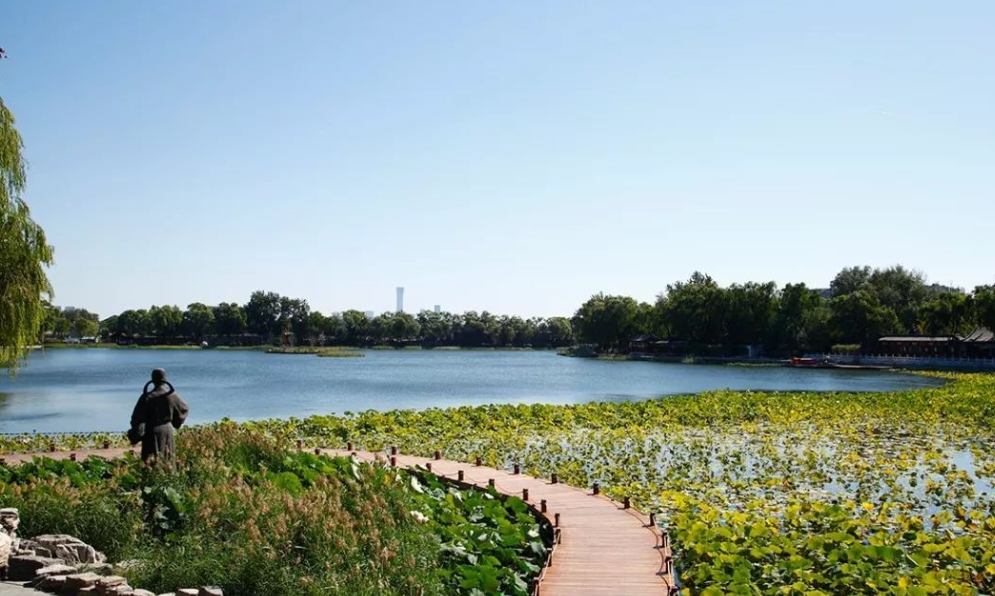 山東鄒城太平國(guó)家濕地公園濕地保護(hù)修復(fù)項(xiàng)目 